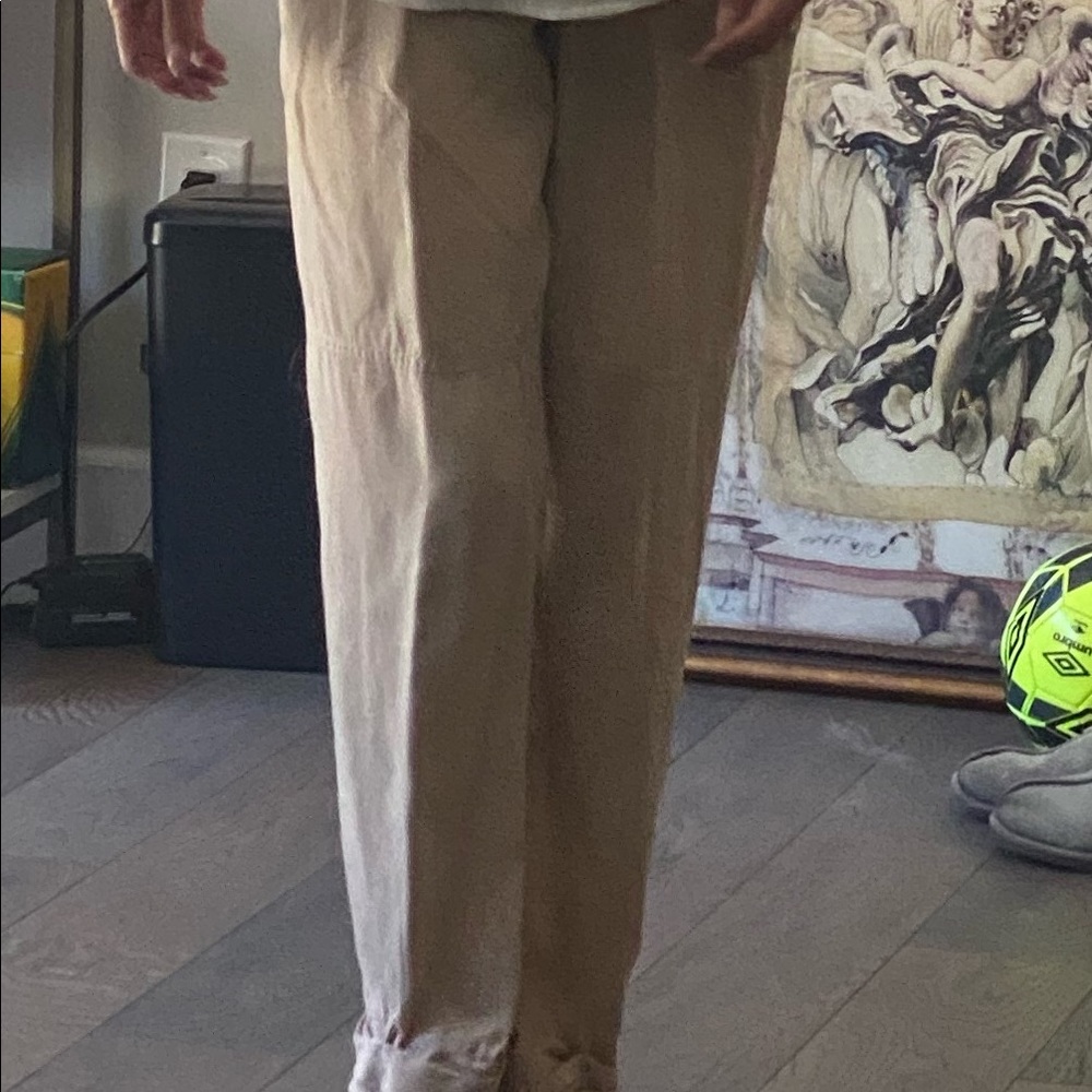 Wilfred Aritzia linen pants Sz 2